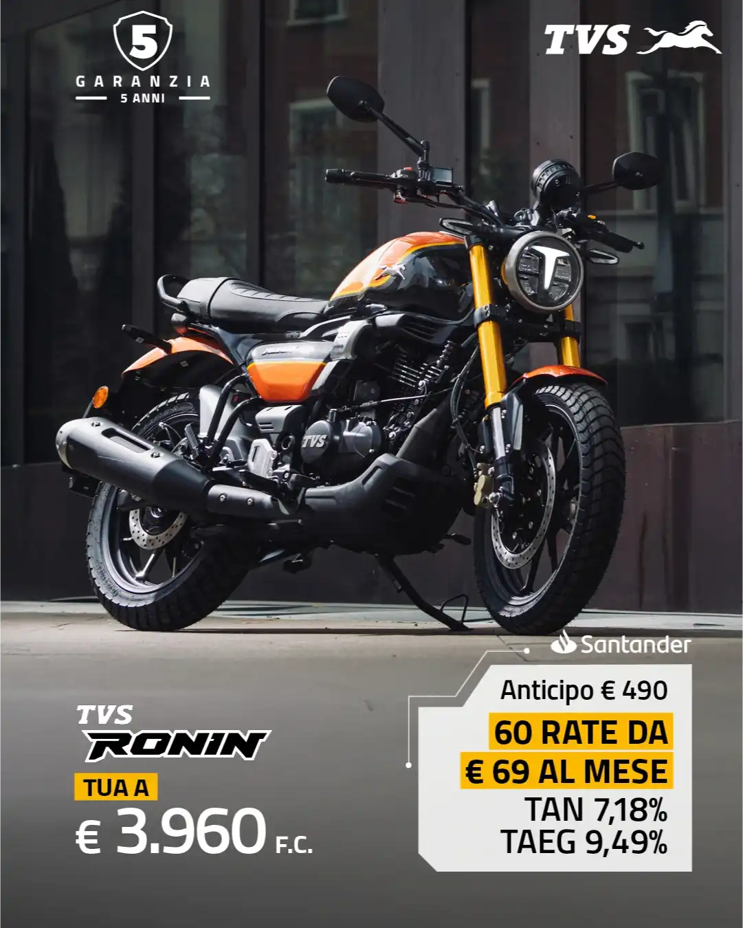 TVS Ronin 250 è tua a soli €69 al mese!