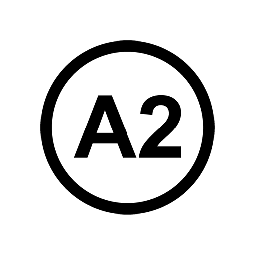 a2 Logo